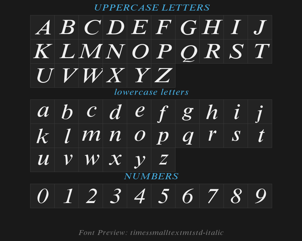 timessmalltextmtstd-italicPreview