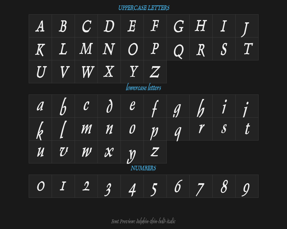 dolphin-thin-bold-italicPreview