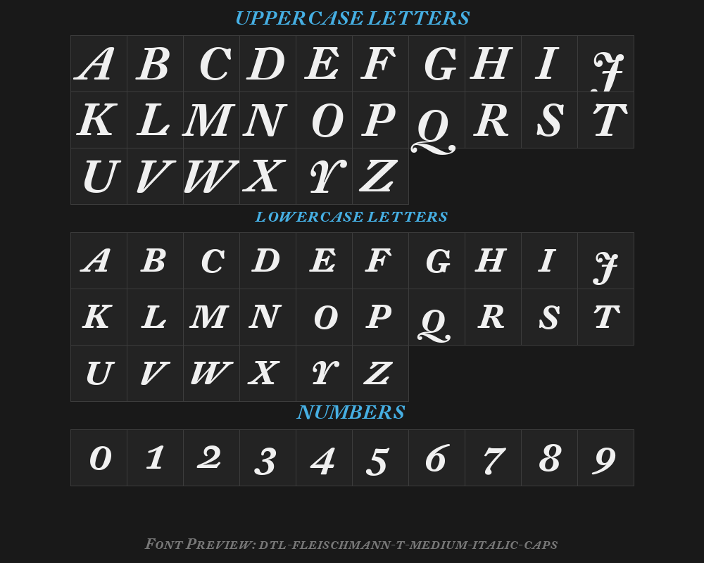 dtl-fleischmann-t-medium-italic-capsPreview