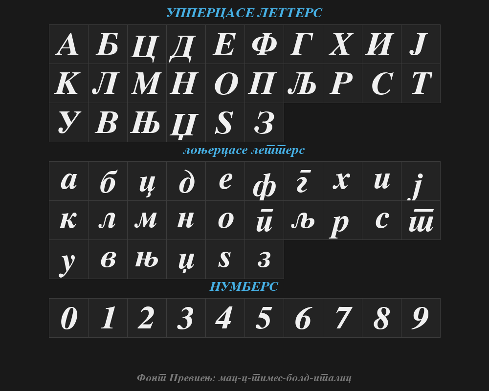 mac-c-times-bold-italicPreview
