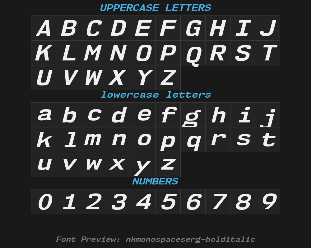 nk57monospaceserg-bolditalicPreview