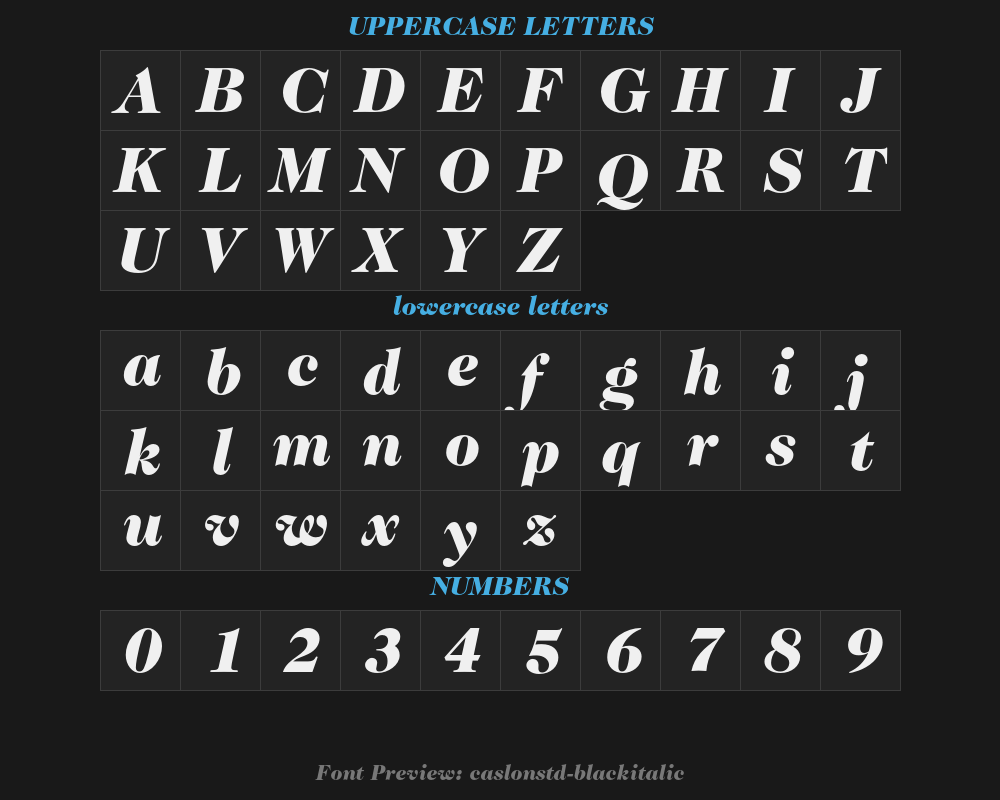 caslon224std-blackitalicPreview