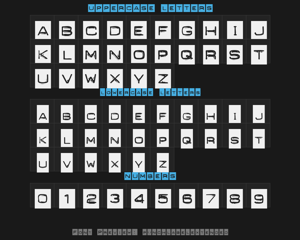 punchlabelextendedPreview