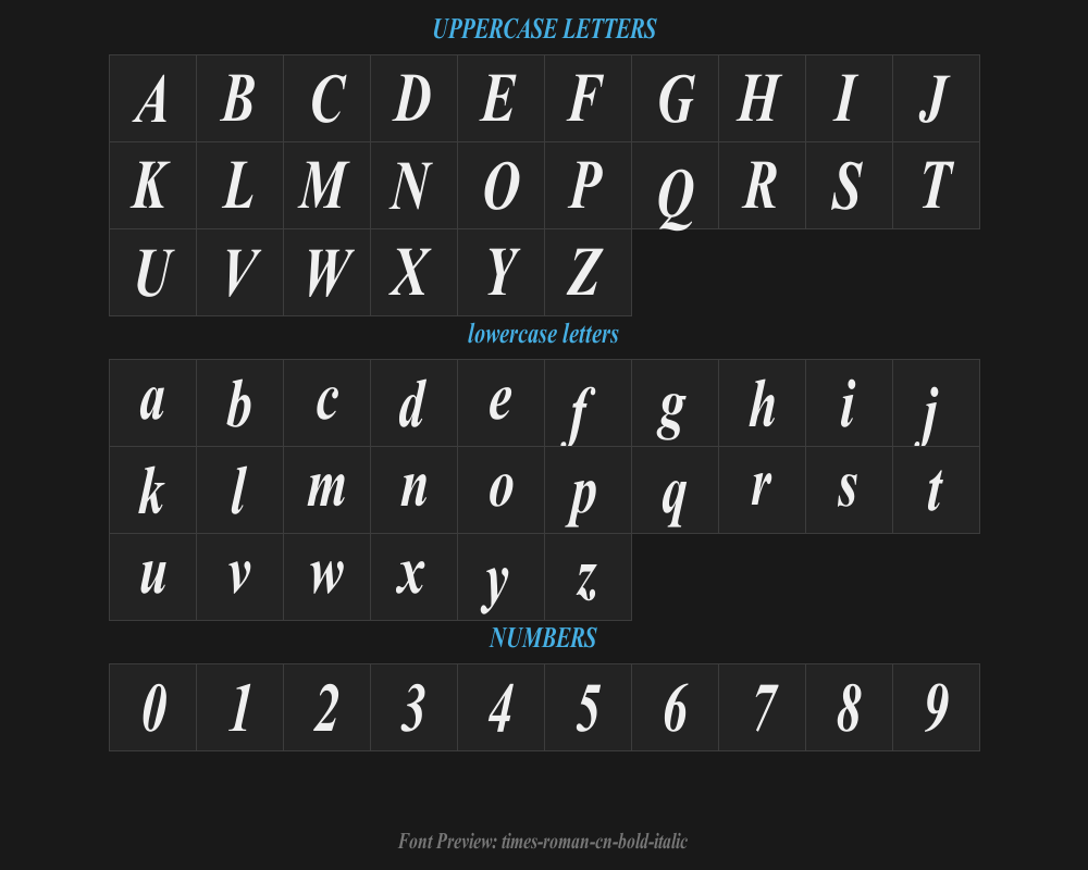 times-roman-cn-bold-italicPreview
