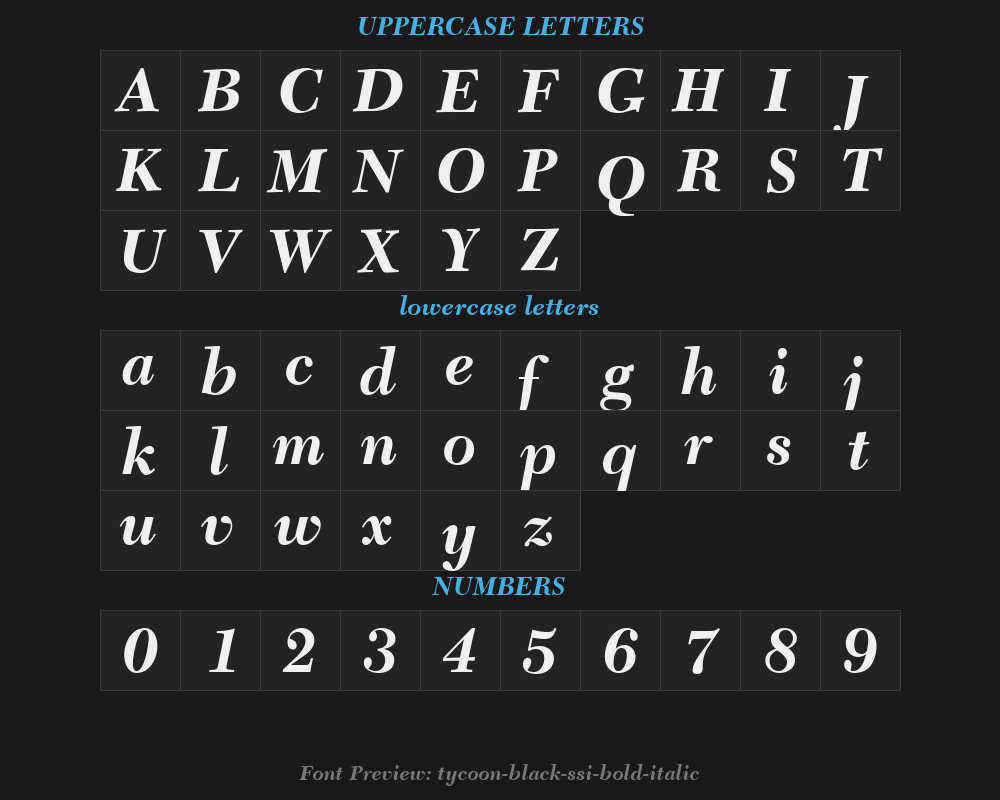 tycoon-black-ssi-bold-italicPreview
