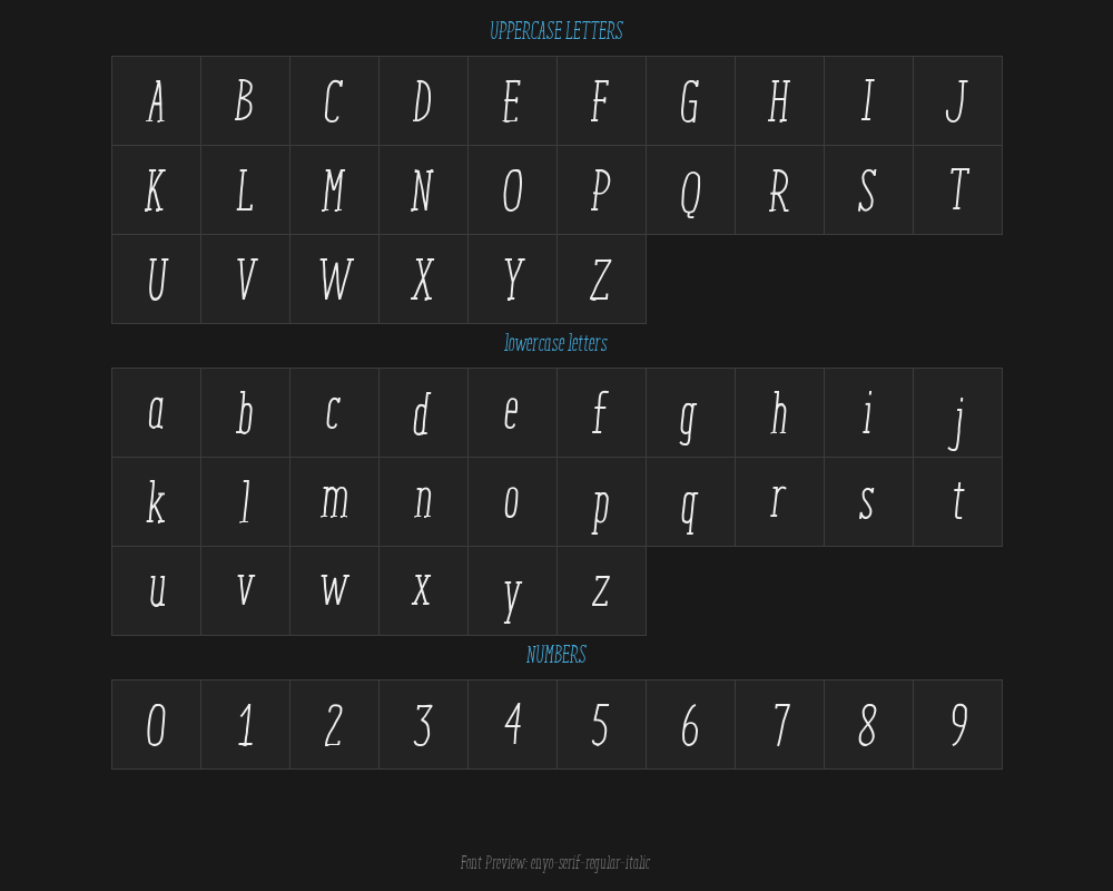 enyo-serif-regular-italicPreview