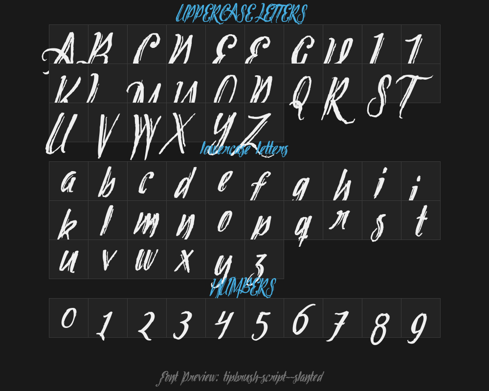 tipbrush-script-2-slantedPreview