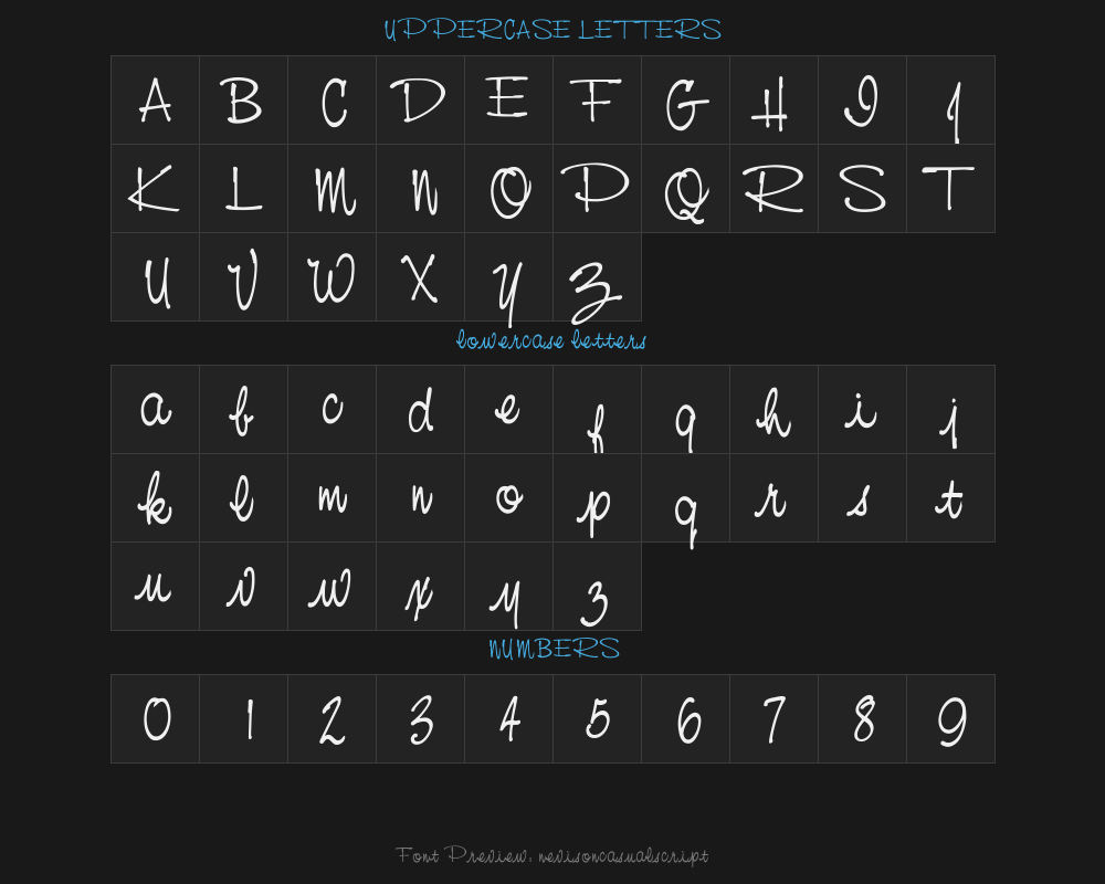 nevisoncasualscriptPreview