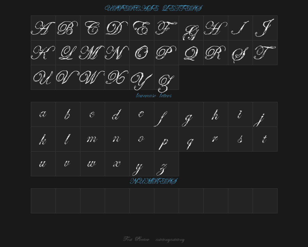antatomyantatomyPreview image