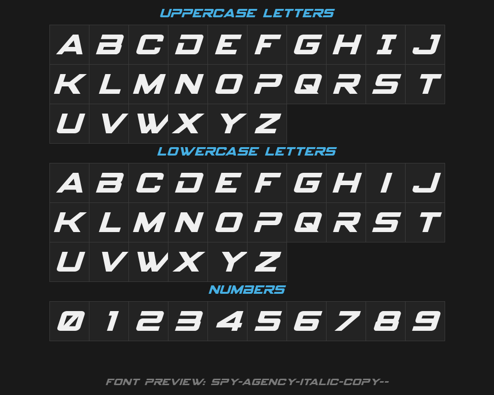 spy-agency-italic-copy-1-Preview