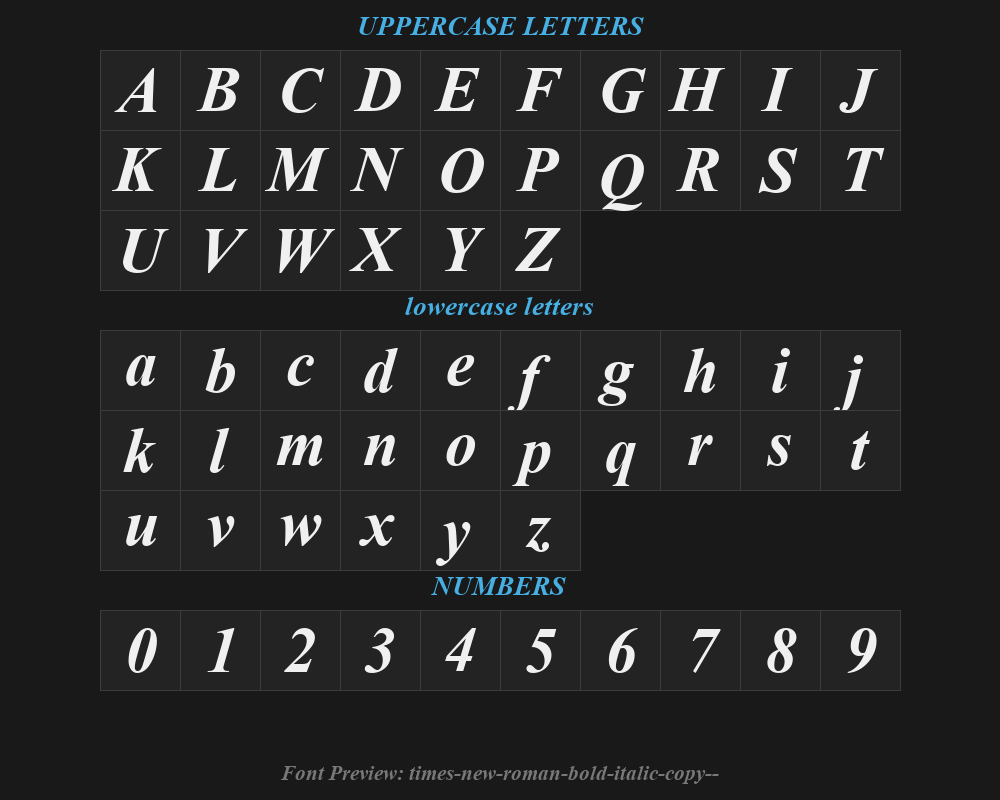 times-new-roman-bold-italic-copy-3-Preview