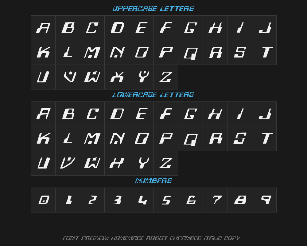 homemade-robot-expanded-italic-copy-3-Preview