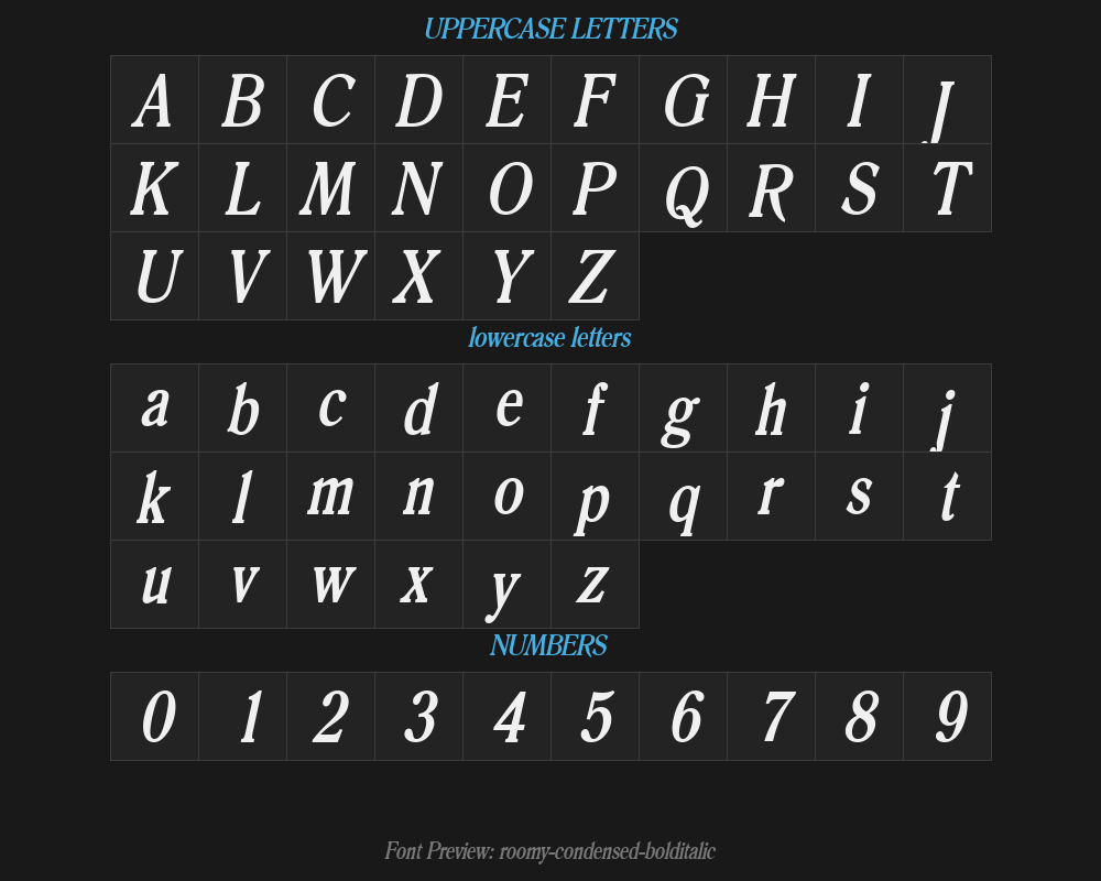 roomy-condensed-bolditalicPreview