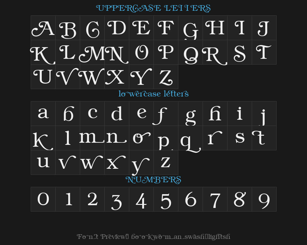 bookwomanswash-lightshPreview