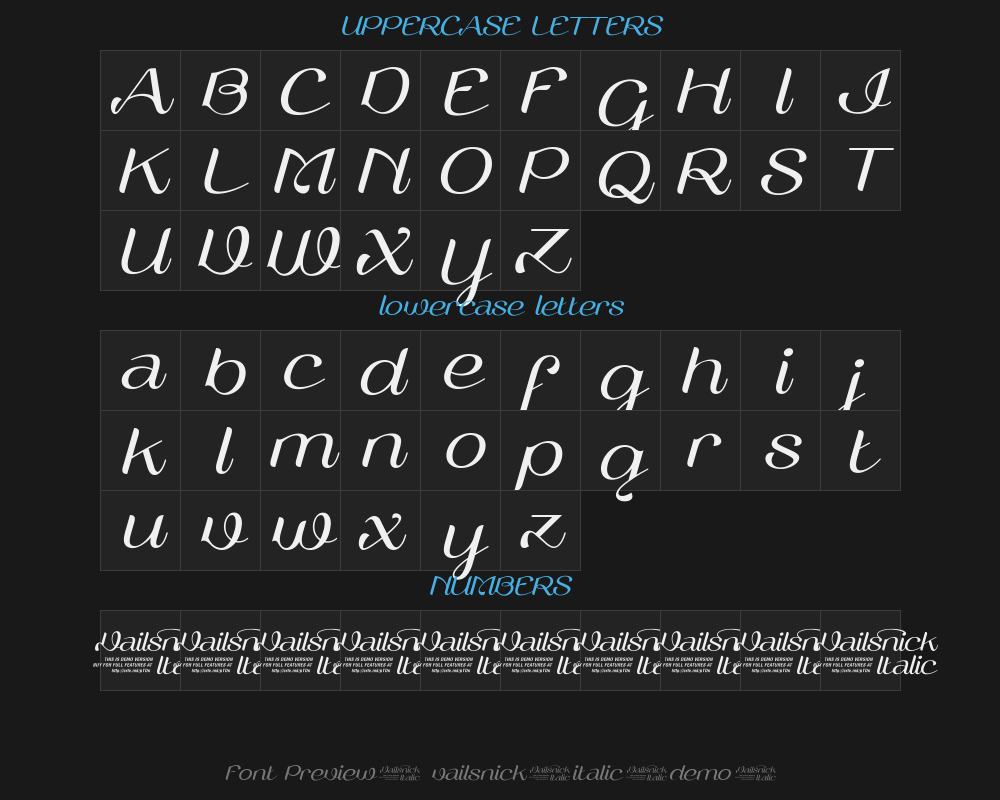 vailsnick-italic-demo-Preview