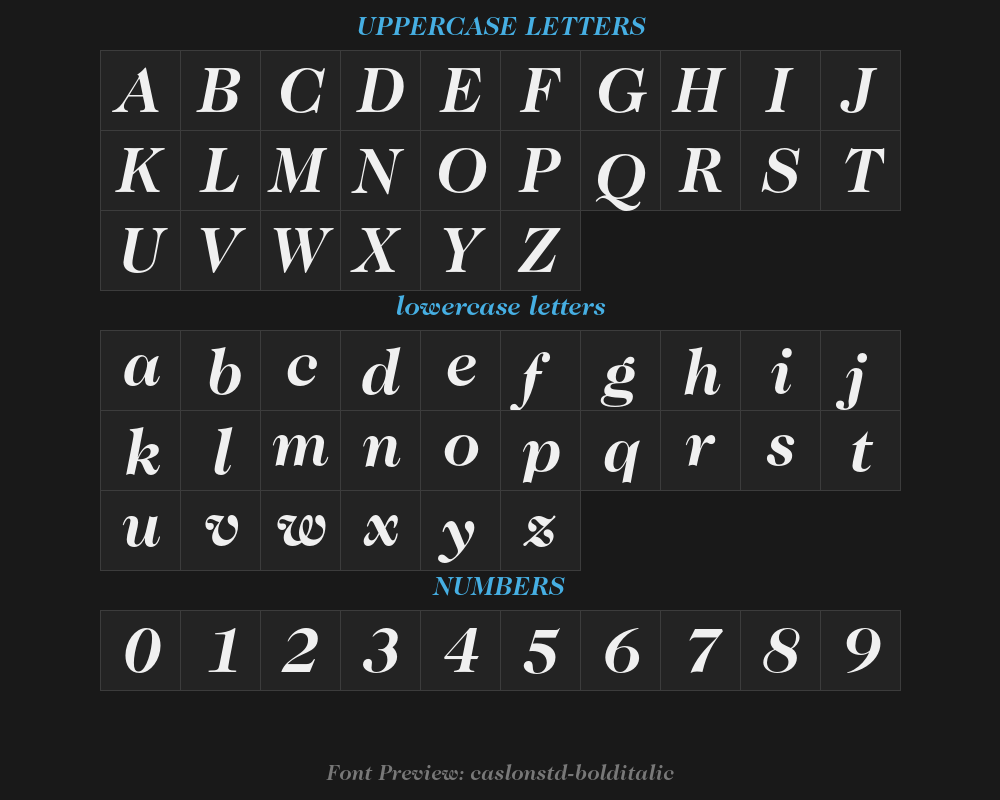 caslon224std-bolditalicPreview