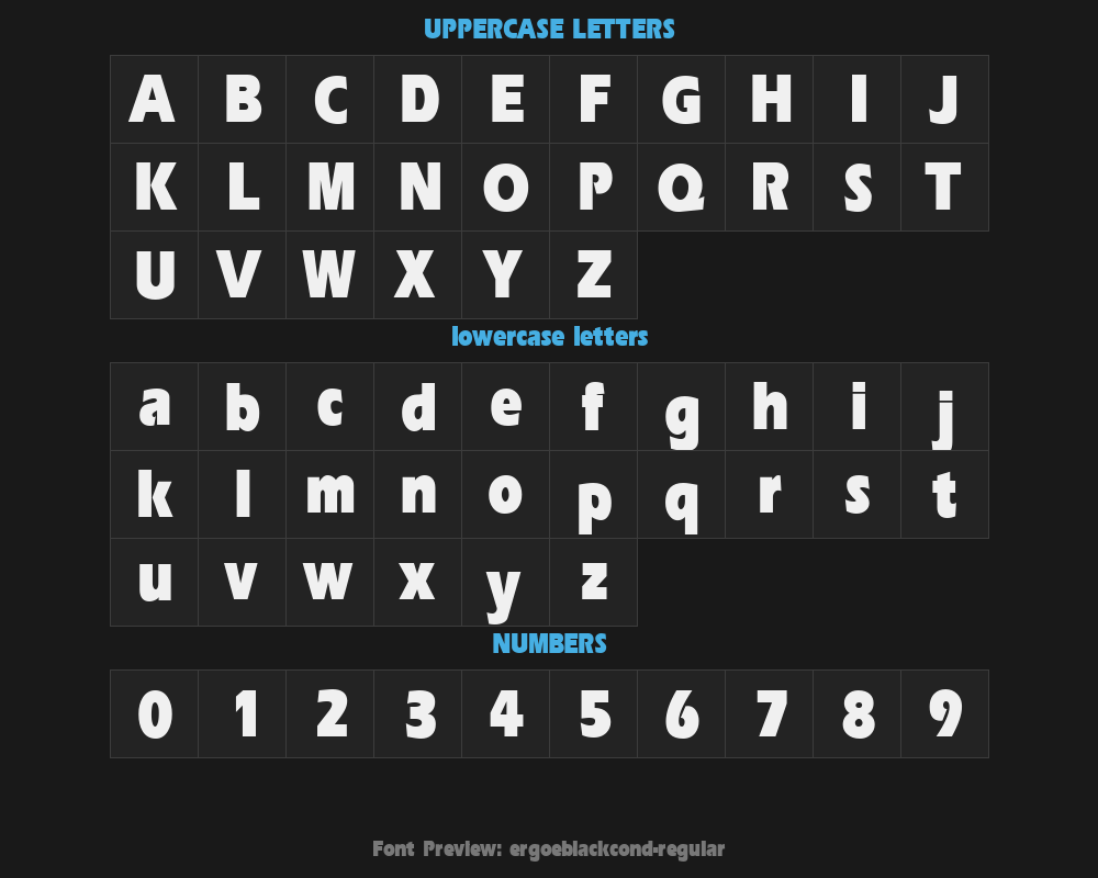 ergoeblackcond-regularPreview