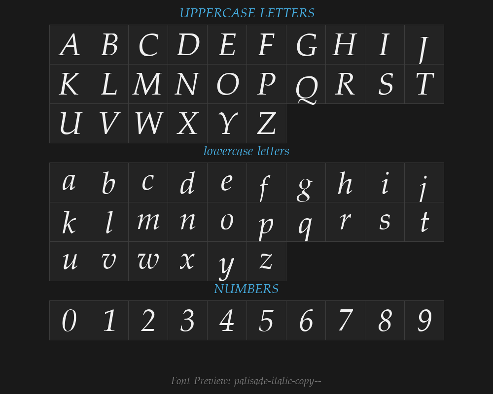 palisade-italic-copy-2-Preview