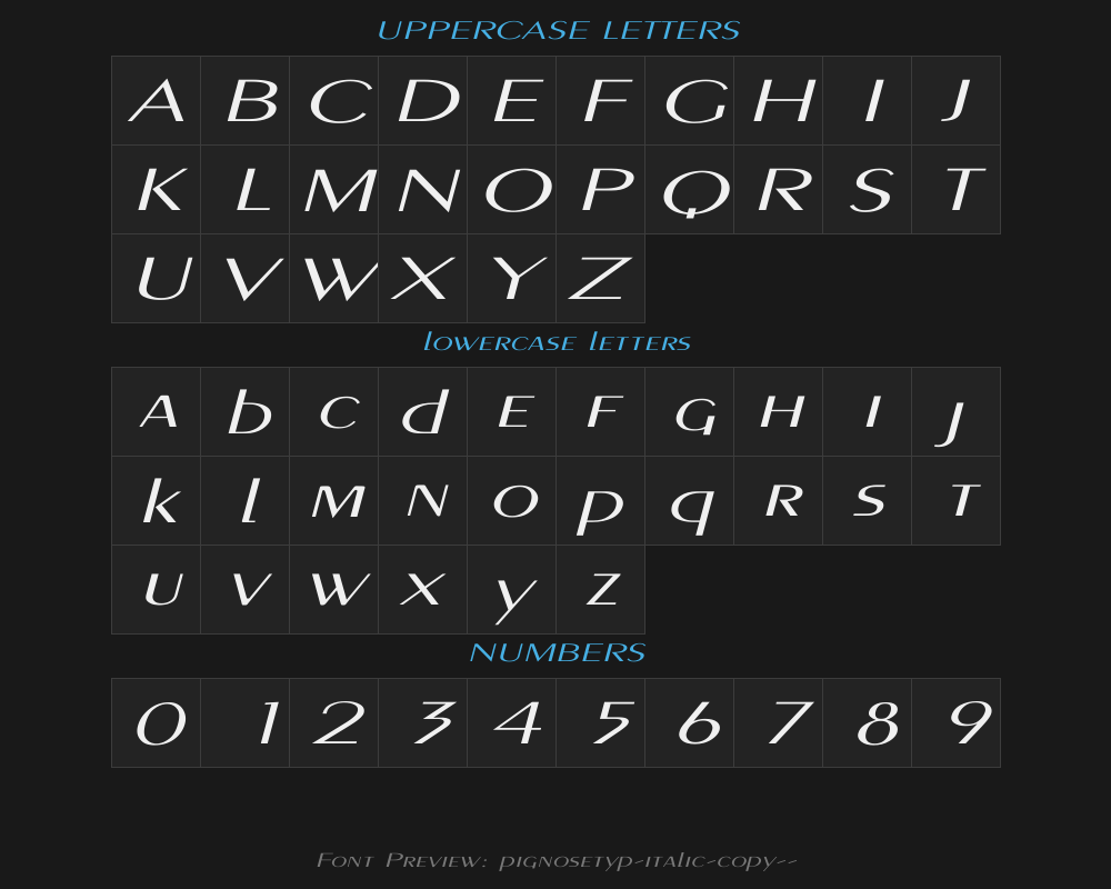 pignosetyp-italic-copy-1-Preview