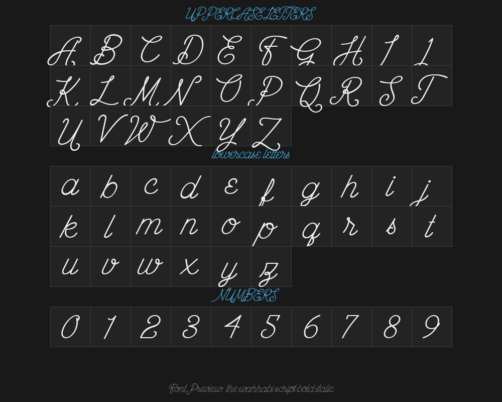 the-wahhabi-script-bold-italicPreview image