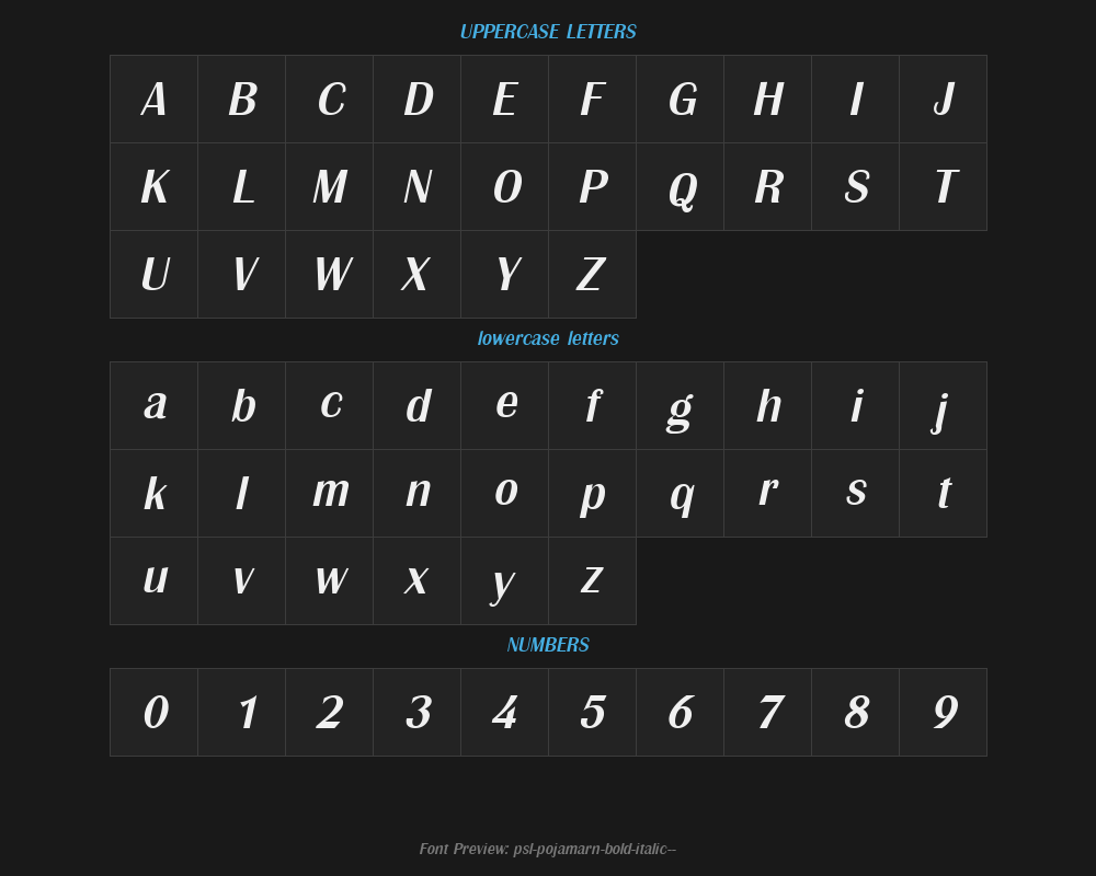psl-pojamarn-bold-italic-1-Preview