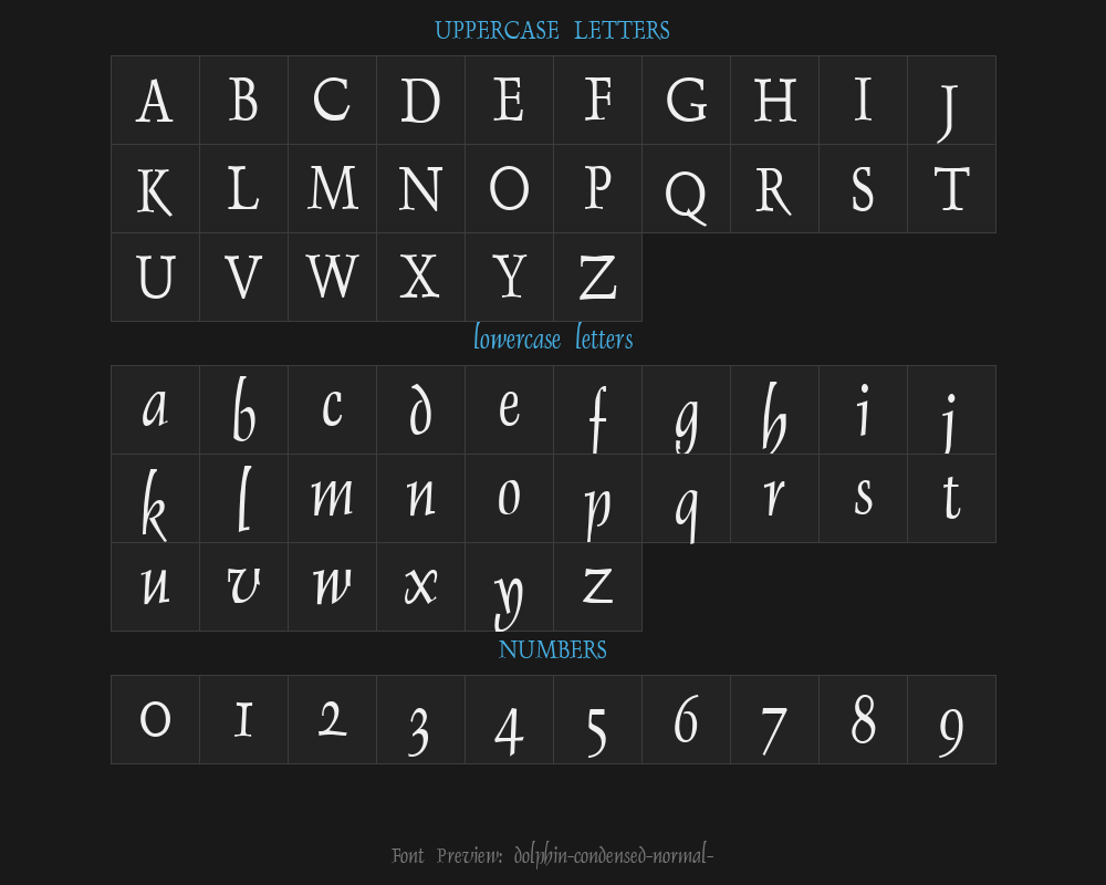dolphin-condensed-normal1-Preview