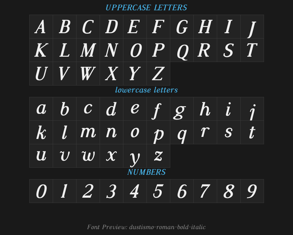 dustismo-roman-bold-italicPreview