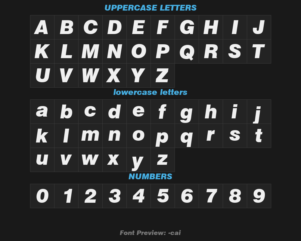 851-cai978プレビュー