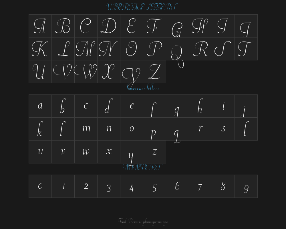 plumaprimeyraPreview