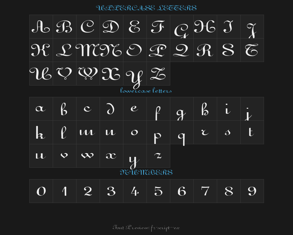 fz-script-11-exPreview