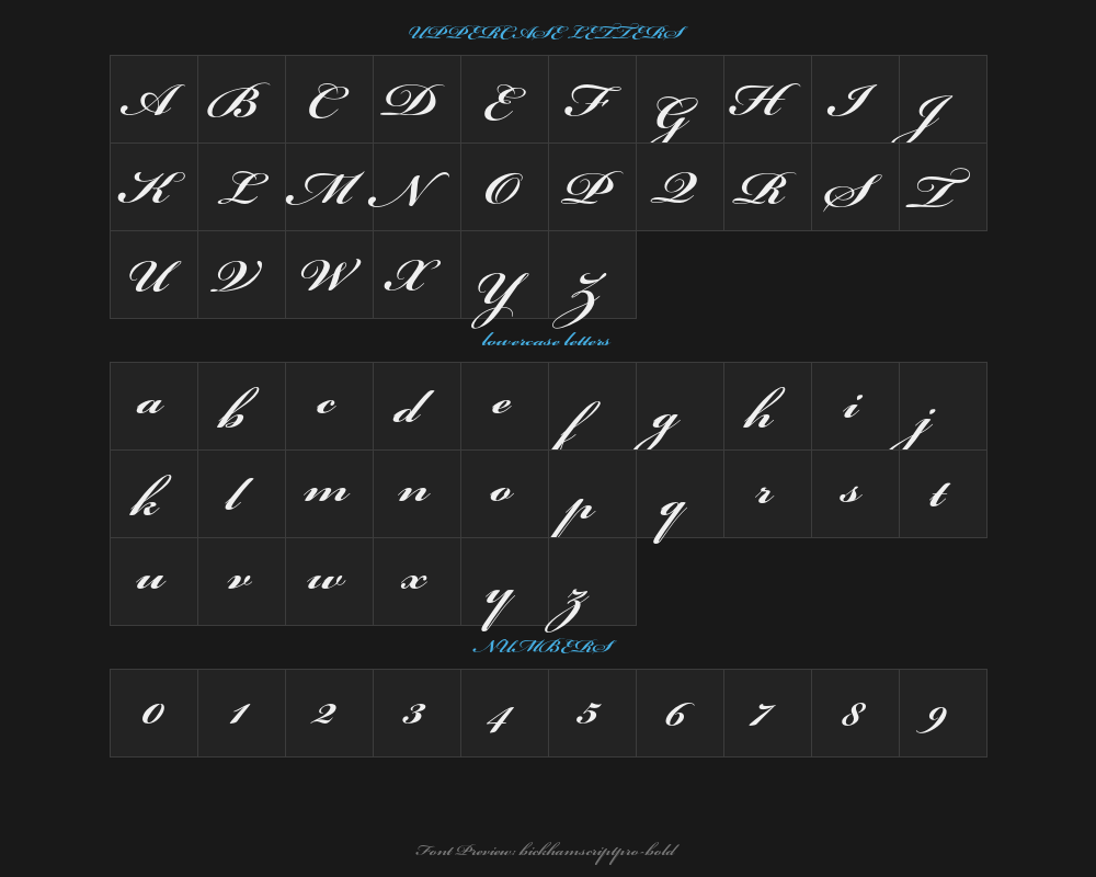 bickhamscriptpro-boldPreview