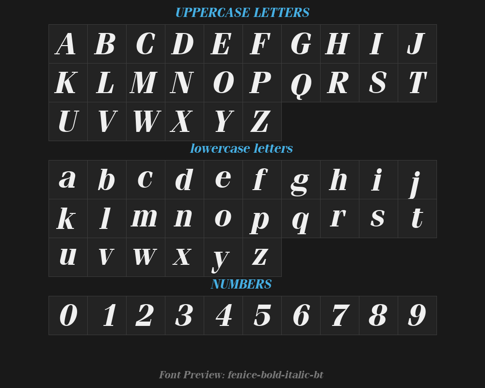 fenice-bold-italic-btPreview