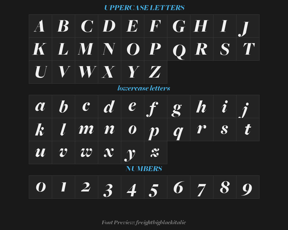 freightbigblackitalicPreview