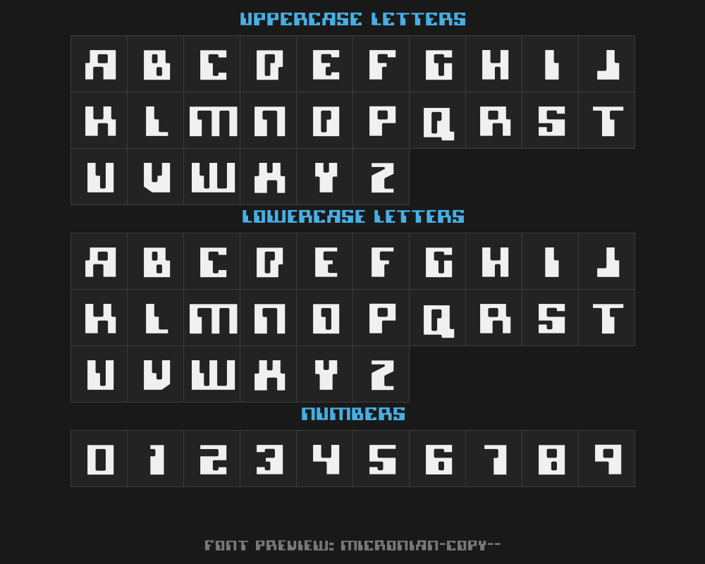 micronian-copy-1-Preview