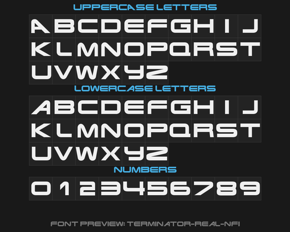 terminator-real-nfiPreview image