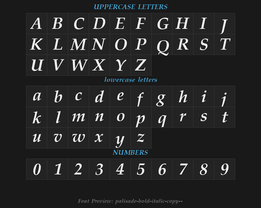 palisade-bold-italic-copy-2-Preview