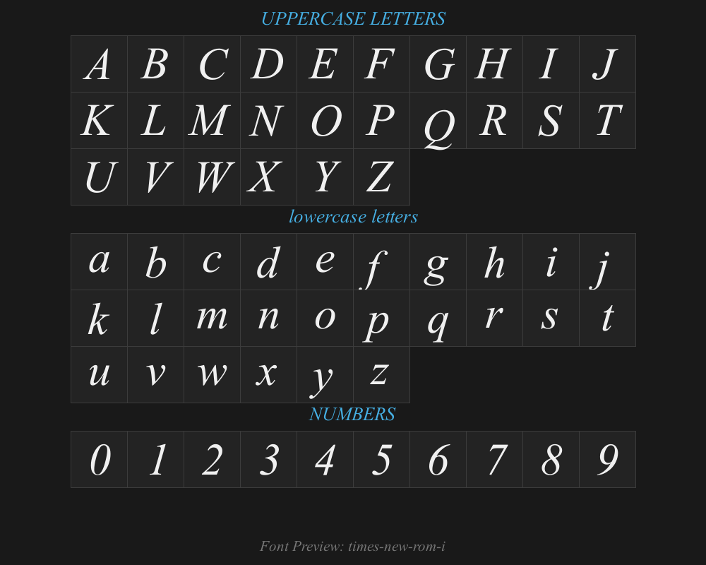 times-new-rom-iPreview