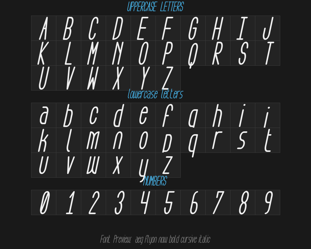 aeg-flyon-now-bold-cursive-italicPreview