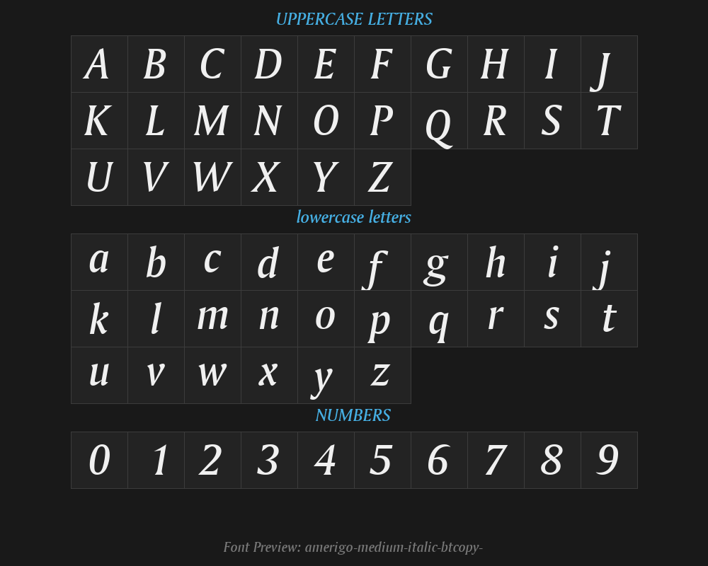 amerigo-medium-italic-btcopy-2Preview