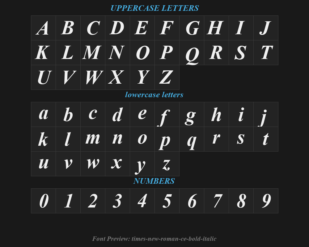 times-new-roman-ce-bold-italicPreview