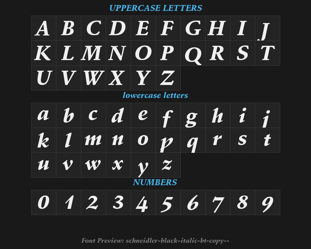 schneidler-black-italic-bt-copy-1-Preview