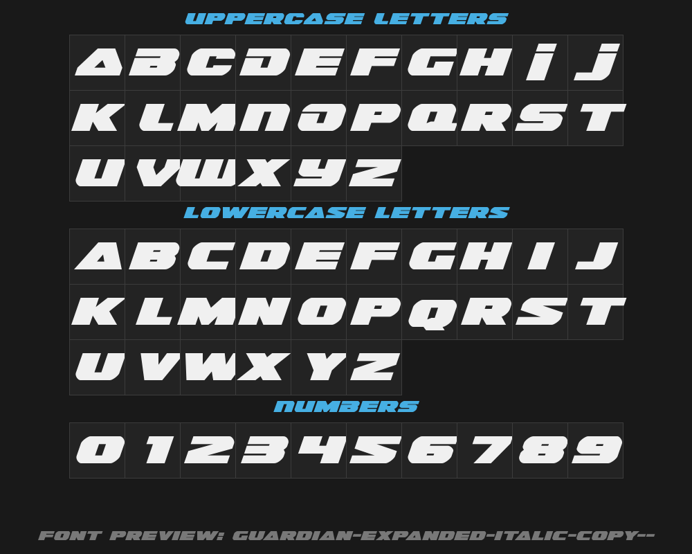 guardian-expanded-italic-copy-1-Preview