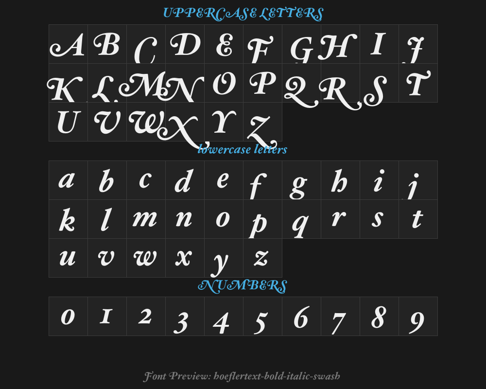 hoeflertext-bold-italic-swashPreview