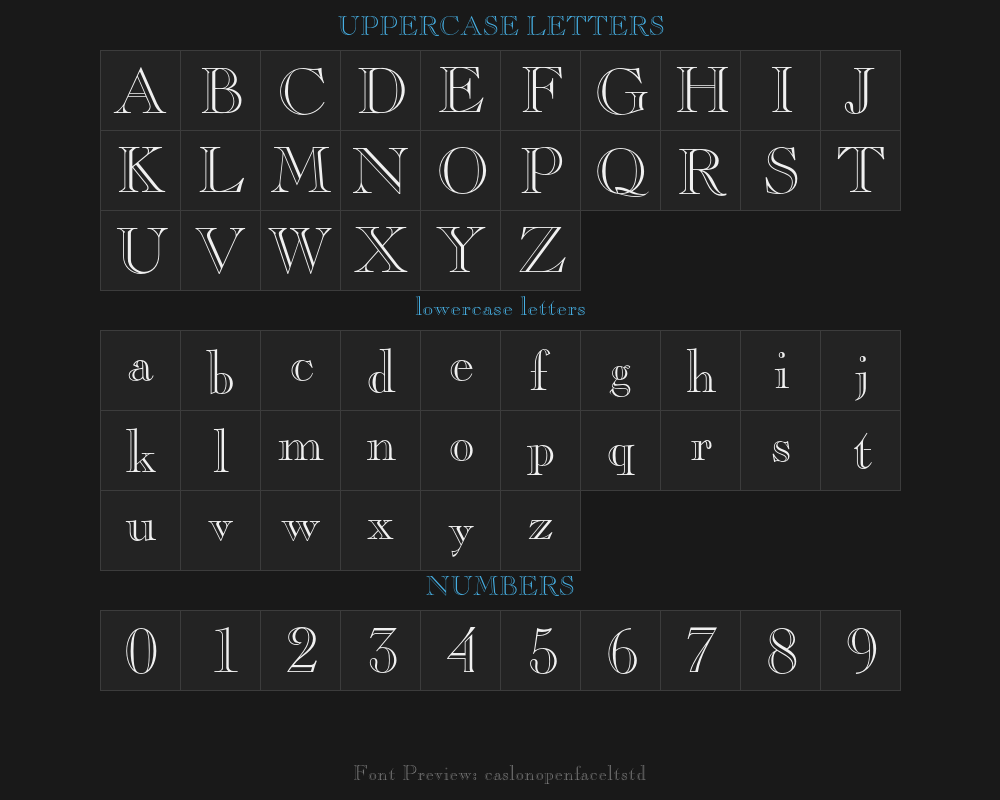 caslonopenfaceltstdPreview