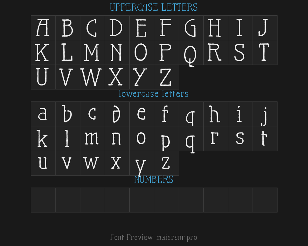 maiersnr.21proPreview image