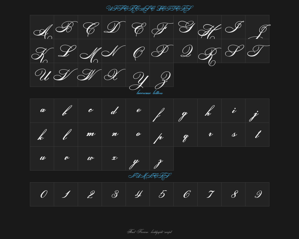 heddyopti-scriptPreview