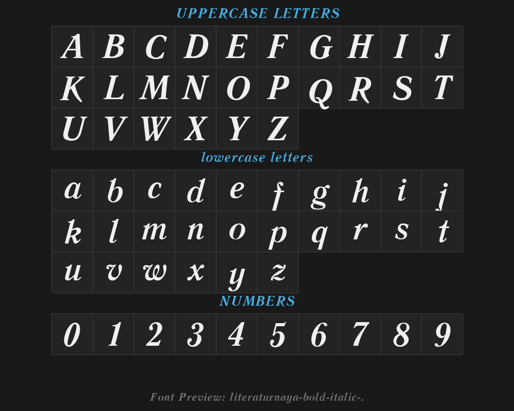 literaturnaya-bold-italic-001.001Preview