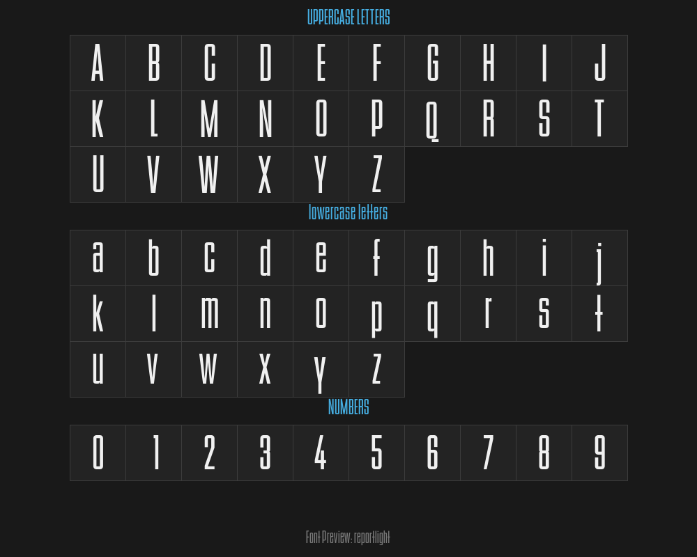 reportlightPreview