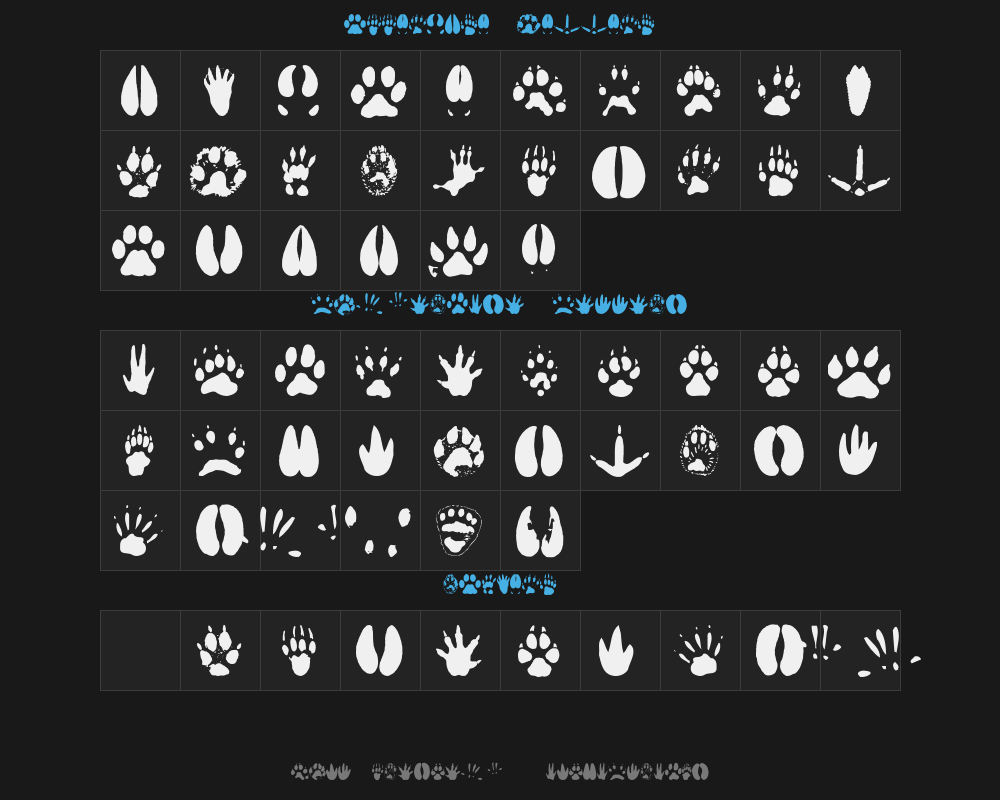 animaltracksPreview