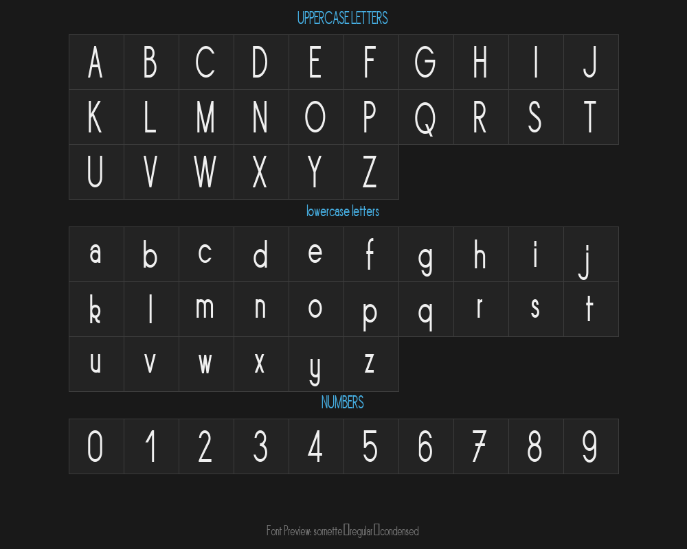 sornette-regular-condensedPreview
